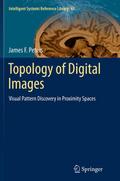 Topology of Digital Images