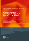 Arbeitsunfall und Berufskrankheit von Gerhard (Prof. Dr. jur.) Mehrtens | Buch