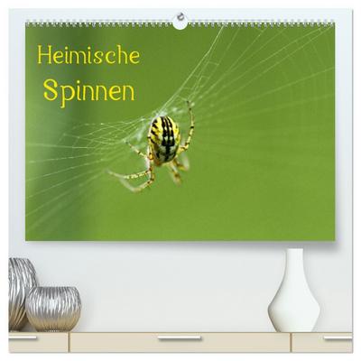 Heimische Spinnen (hochwertiger Premium Wandkalender 2026 DIN A2 quer), Kunstdruck in Hochglanz