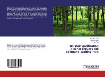 Full-scale gasification biochar reduces soil pollutant leaching risks