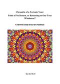 Chronicle of a Tectonic Year: Point of No Return, Or Returning to Our True Wholeness?