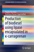 Production of biodiesel using lipase encapsulated 