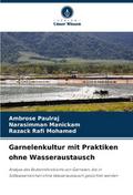 Garnelenkultur mit Praktiken ohne Wasseraustausch