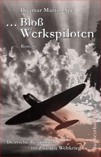 ... Bloß Werkspiloten