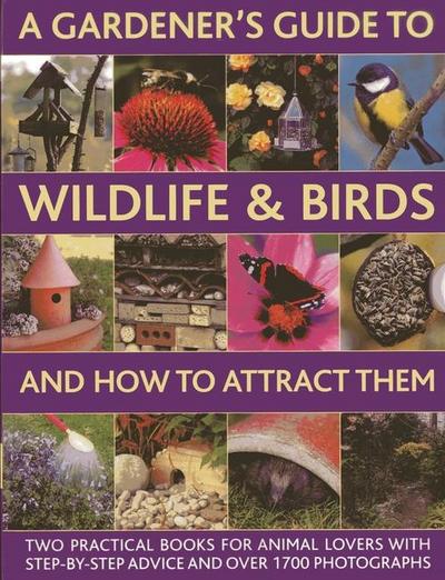 A Gardener’s Guide to Wildlife & Birds and How to Attract Them