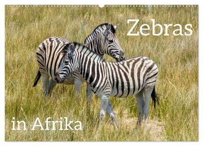 Zebras in Afrika (Wandkalender 2026 DIN A2 quer), CALVENDO Monatskalender