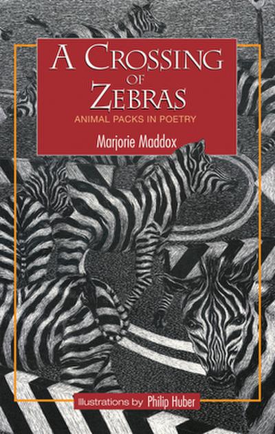 A Crossing of Zebras