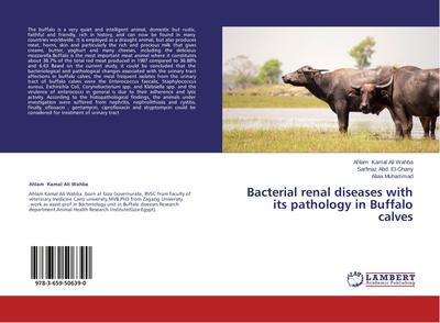 Bacterial renal diseases with its pathology in Buffalo calves