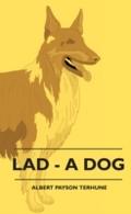 Lad - A Dog