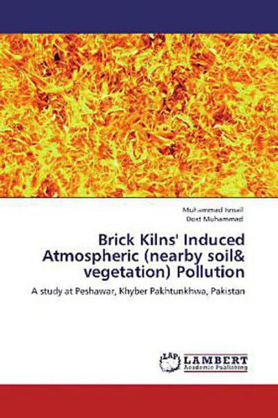 Brick Kilns’ Induced Atmospheric (nearby soil & vegetation) Pollution