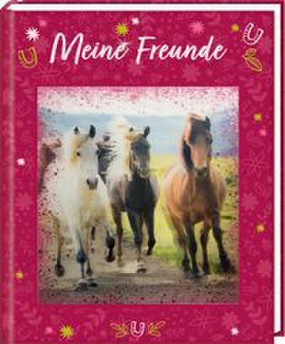 Freundebuch - Meine Freunde: Pferdefreunde