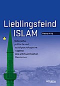 Lieblingsfeind Islam