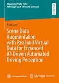 Scene Data Augmentation with Real and Virtual Data