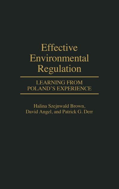 Effective Environmental Regulation
