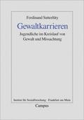 Gewaltkarrieren
