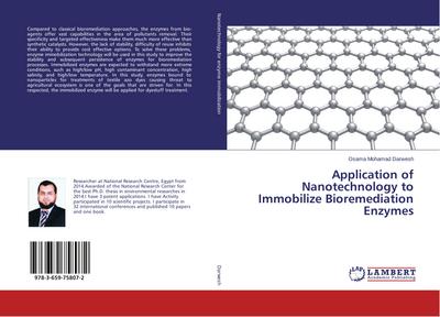 Application of Nanotechnology to Immobilize Bioremediation Enzymes