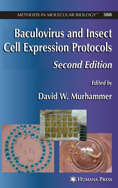 Baculovirus and Insect Cell Expression Protocols