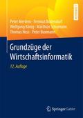 Grundzüge der Wirtschaftsinformatik