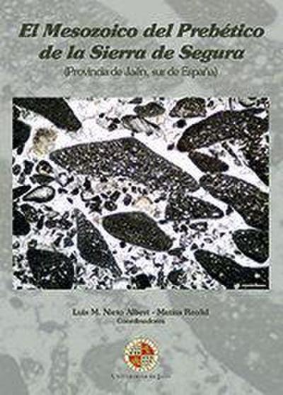 El Mesozoico del Prebético de la Sierra de Segura, Provincia de Jaén, sur de España