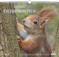 Geliebte Eichhörnchen 2026 | sonst. Bücher