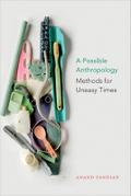A Possible Anthropology