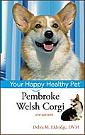 Pembroke Welsh Corgi