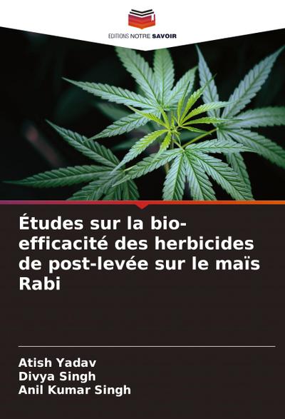 Études sur la bio-efficacité des herbicides de post-levée sur le maïs Rabi