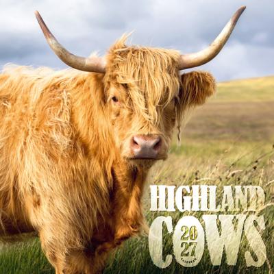 Highland Cows - Schottische Hochlandrinder 2027