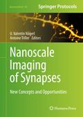 Nanoscale Imaging of Synapses