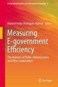 Measuring E-government Efficiency