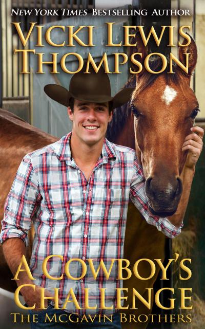 A Cowboy’s Challenge (The McGavin Brothers, #10)
