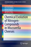 Chemical Evolution of Nitrogen-based Compounds in 