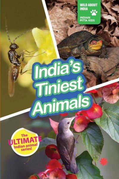 India’s Tiniest Animals