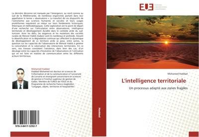 L'intelligence territoriale - Mohamed Haddad