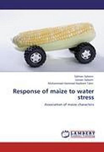 Response of maize to water stress