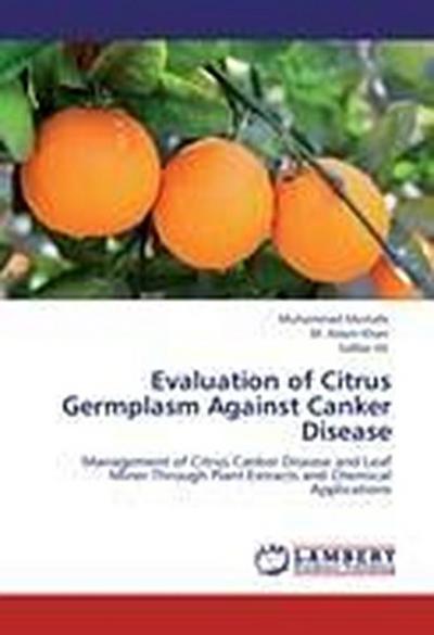 Evaluation of Citrus Germplasm Against Canker Disease