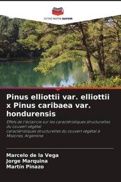 Pinus elliottii var. elliottii x Pinus caribaea var. hondurensis