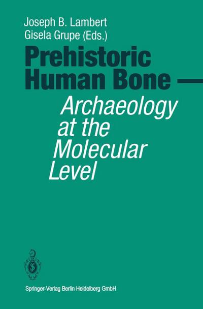 Prehistoric Human Bone