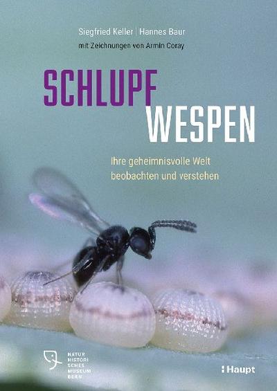 Schlupfwespen