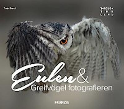 Eulen & Greifvögel fotografieren