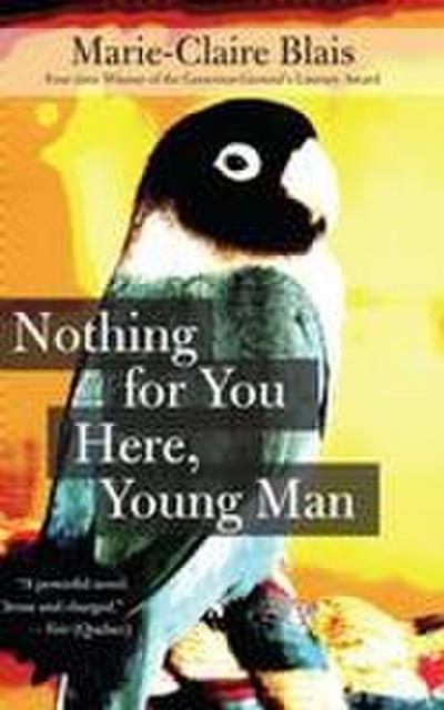 Nothing for You Here, Young Man