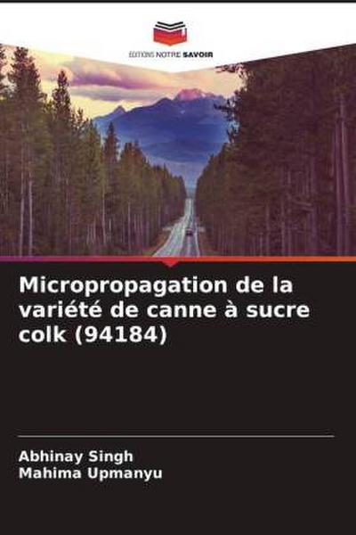 Micropropagation de la variété de canne à sucre colk (94184)