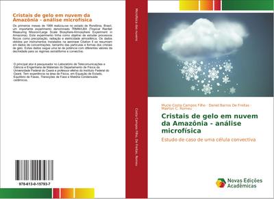 Cristais de gelo em nuvem da Amazônia - análise microfísica