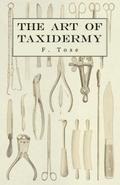 The Art of Taxidermy