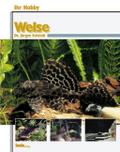 Welse