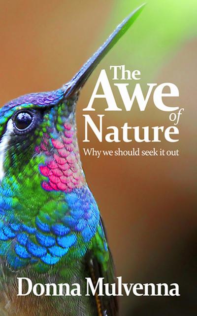 The Awe of Nature
