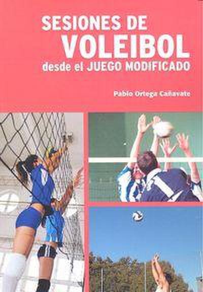 Sesiones de Voleibol. Desde el juego modificado