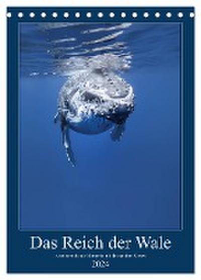 Im Reich der Wale (Tischkalender 2024 DIN A5 hoch), CALVENDO Monatskalender