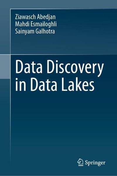 Data Discovery in Data Lakes