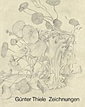 Zeichnungen